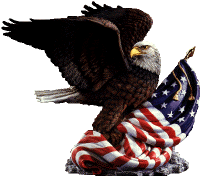 The eagle, rampant above the loosely furled flag - vigilance