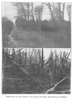 The Path to the Front, and Along Its Side, Bantheville Woods