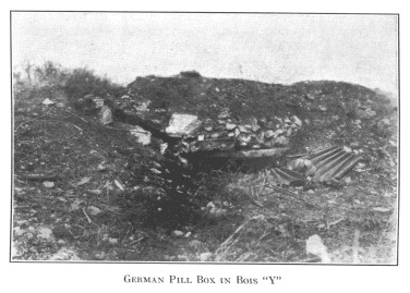 German Pill Box in Bois Y.