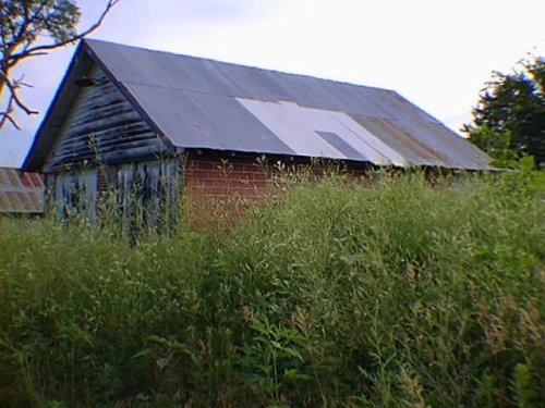 A weatherbeaten old barn with a patched roof, barely visible over the thick green brush