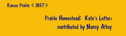 Prairie Homestead: Kate's Letter, contributed by Nancy Attey [Kansas Prairie, 1857]