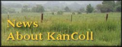 News about KanColl