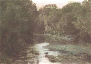 A shallow creek flows toward the camera between banks of trees at a ford.