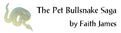 The Pet Bullsnake Saga, by Faith James