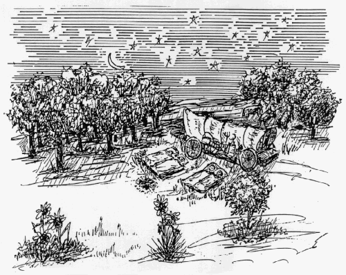 Sleeping under the Stars