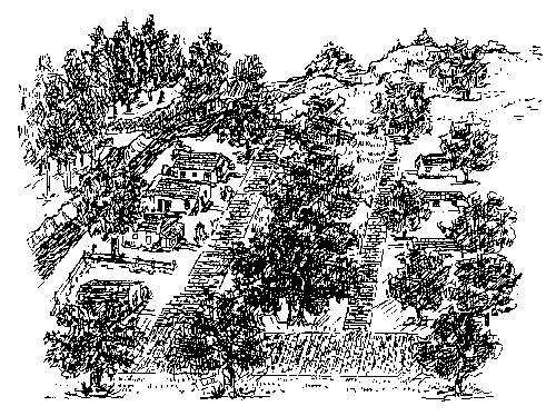 Overview of the Town