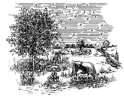 Johnnie and Bessie under the Stars