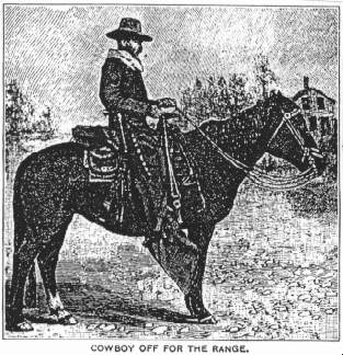 Cowboy Off the Range.