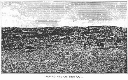 Roping and Cutting Out.