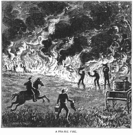 A Prairie Fire.