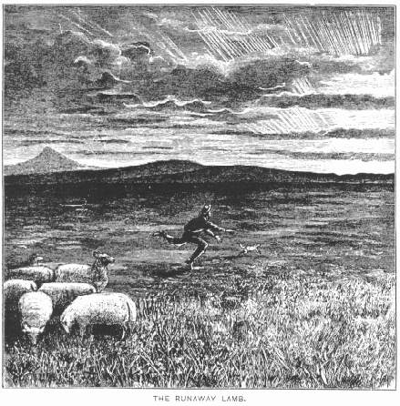 The Runaway Lamb.