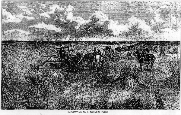 Harvesting on a Bonanza Farm.