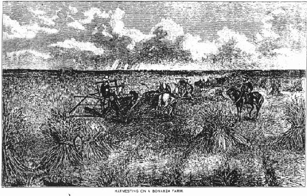 Harvesting on a Bonanza Farm.