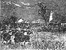 Herd of Buffalo Stopping the Train.