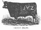 Cattle Brand.