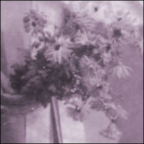 detail of bride's bouquet from wedding portrait