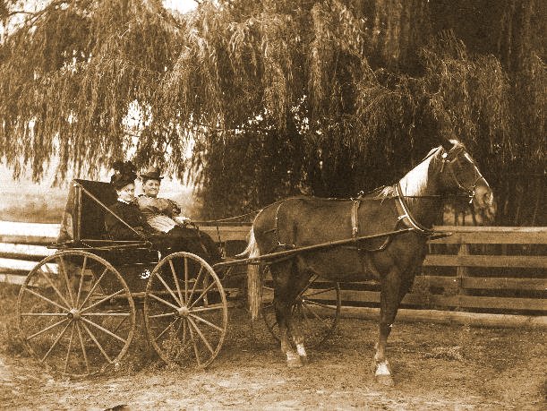 Old photograph of Daisy Tedrick Housh, sitting on the left; the carriage is on a country lane with weeping willows in the background