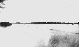 Flood waters covering telephone poles