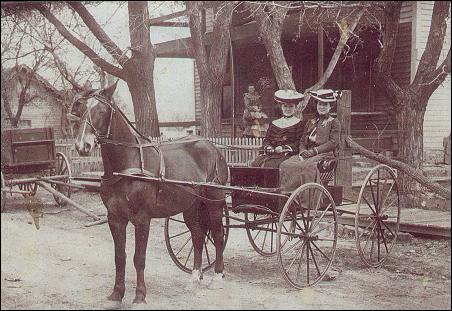 Winifred, Elizabeth and Phebe Van Vliet