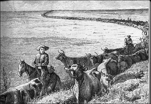 [cattle moving in a long line stretching sinuously back to the horizon.]