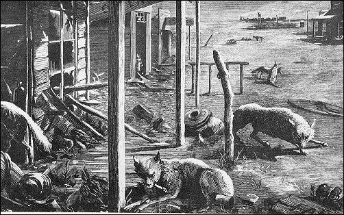 [Desolate scene inhabited only by hungry wolves.]